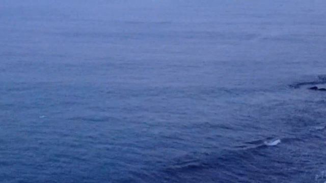 Море Японское смотреть онлайн