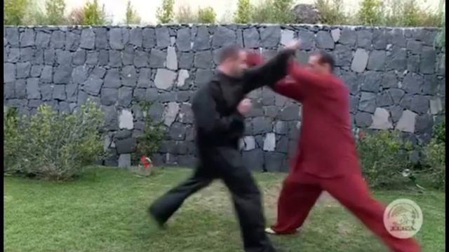 Джанфранко Паче. Применения Лаоцзя И Лу. Чэньши тайцзицюань. смотреть онлайн