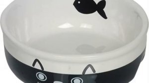 Котенок не пьет воду — варианты как приучить питомца