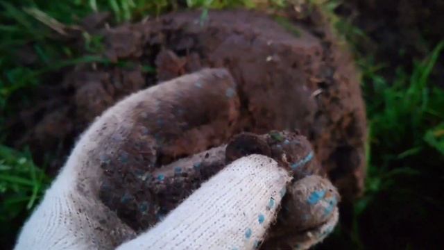 Кто потерял ключ от TOYOTA HIGHLANDER? #xpdeus2 #коп2022 #toyotahighlander