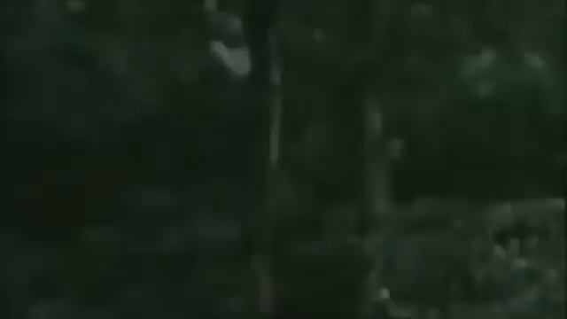 LITO LAPID -Pasabugin Ko Ang Mundo Mo | Pinoy Action Movies #pinoymovies #actionmovies