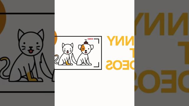 смешные видео про кошек , собак и животных | funny videos about cats 18 #cat #animals #funnycats смотреть онлайн