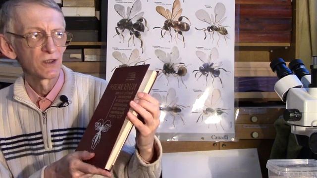 Атлас Рисунков Насекомых Энтомофагов Плодового Сада. Atlas Of Entomophagous Insects Of Apple Orchar