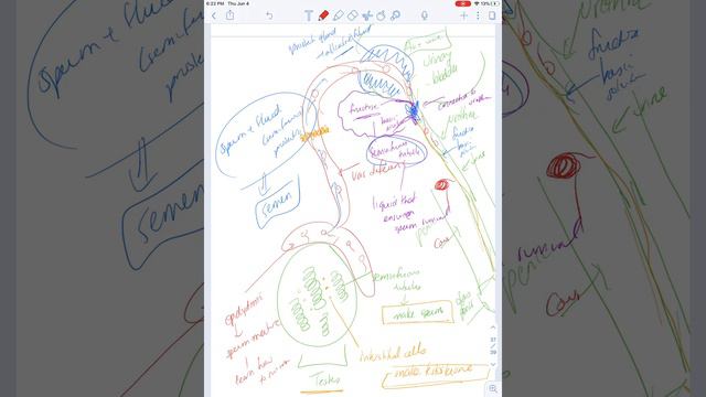 Male and Female Reproductive Anatomy смотреть онлайн
