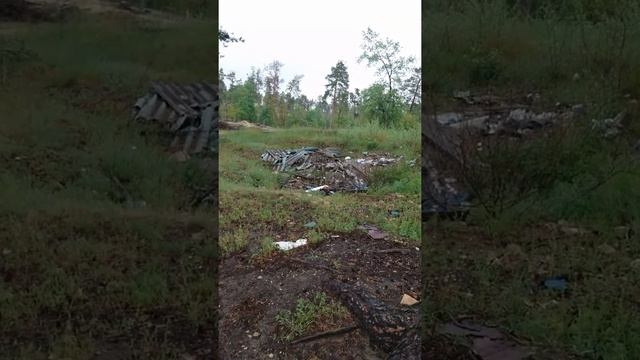 Активисты или массовики-затейники, или просто ПАДЛЫ которые обслуживают корупционеров деребанщиков смотреть онлайн