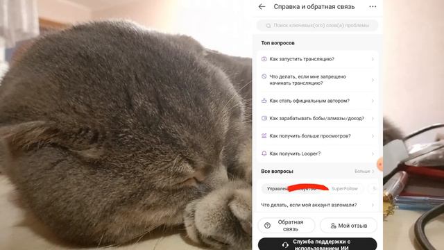 Как получить лупер в Лайке 2023 // КАК ПОЛУЧИТЬ ЛУПЕР В LIKEE 2023-2024