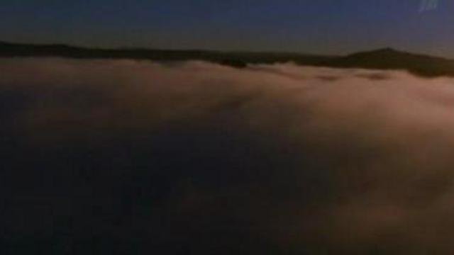 Плесень смотреть онлайн