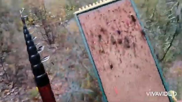 Хариус в проводку на Енисее. смотреть онлайн
