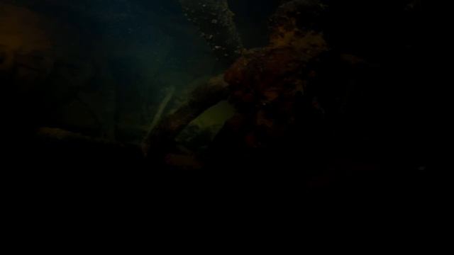 Los 8 Barcos Hundidos Mas Impresionantes Del Mundo. смотреть онлайн