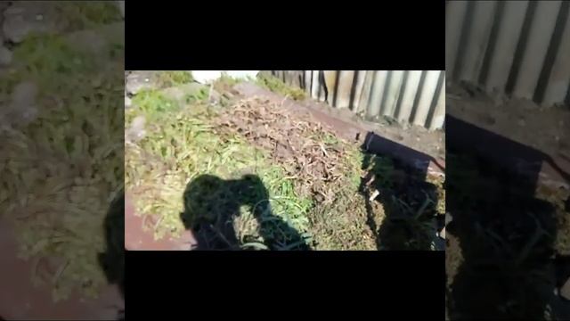 Повезло с телегой к мотоблоку! смотреть онлайн