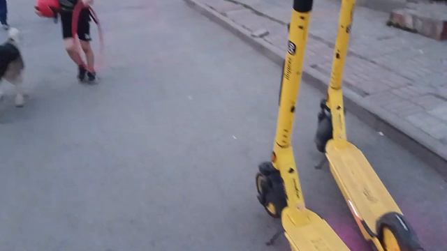 22.05.2023 Мальчик, девочка со штативами и с желтым чемоданчиком смотреть онлайн