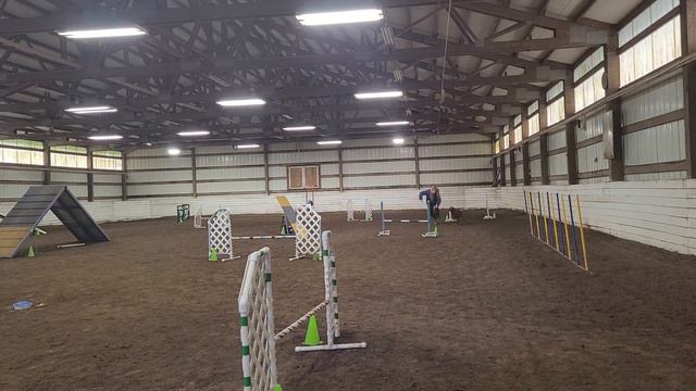 Paris' Redbone Coonhound Agility Foundation- Finding line with single standard смотреть онлайн