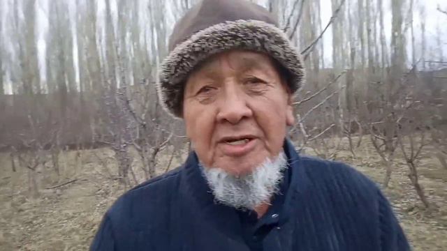 Сатыкей баатыр айылындагы Манап агайдын карлик бактары. смотреть онлайн