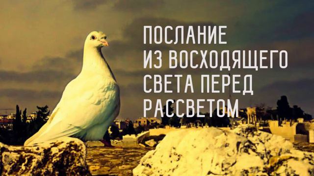 Послание из восходящего света перед рассветом смотреть онлайн