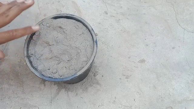 How To Grow Petunia Flowers From Seeds