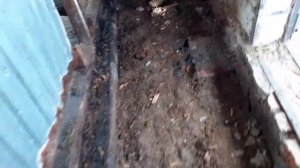 Какой должен быть пол в коровнике. Совет начинающим. Исправляем свои  ошибки, меняем пол в коровник