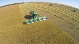 Жатки навесные