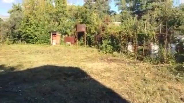 Дача Советы смотреть онлайн