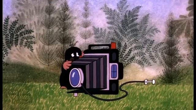 Крот фотограф