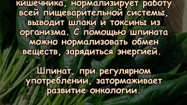 ШПИНАТ ДЛЯ БОГАТЫРСКОГО ЗДОРОВЬЯ И МОЛОДОСТИ