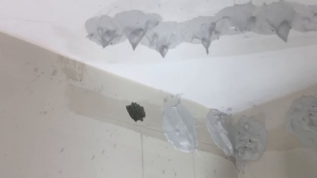 New Desing cornice corner in the fitting of the bedroom it is very difficult gypsum plaster corner смотреть онлайн