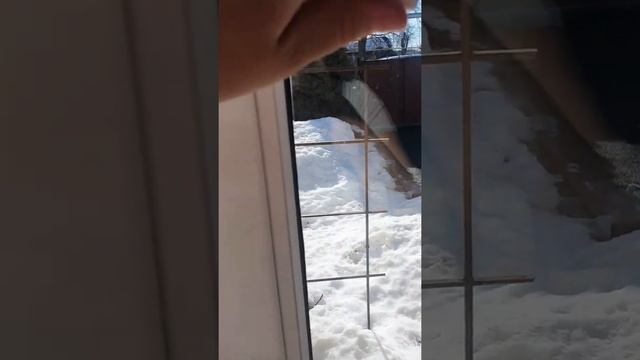 Лиски. Вторая пятилетка. Отличный отдых! смотреть онлайн