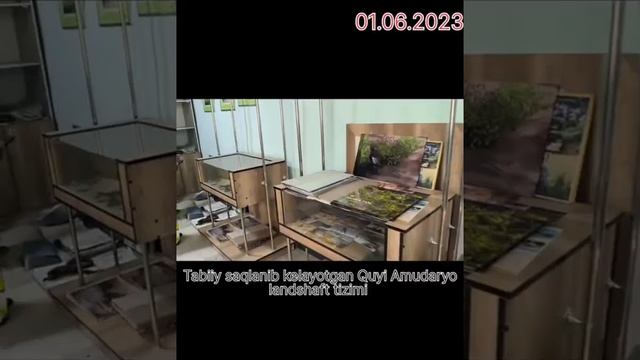 Манзил Қуйи Амударё смотреть онлайн