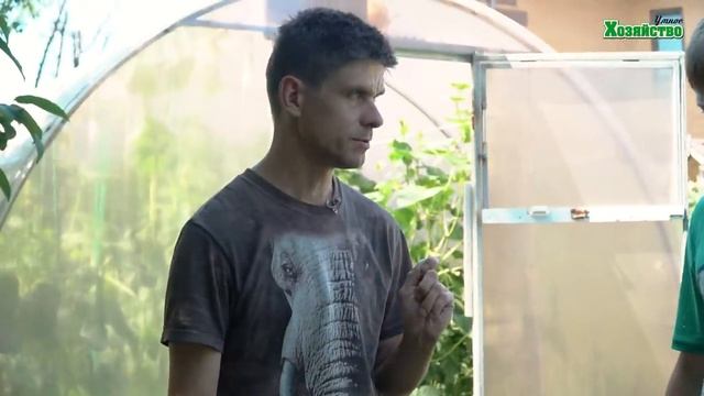 Как обогатить почву с помощью сидерат? После каждой культуры свой сидерат! Как выбрать? смотреть онлайн