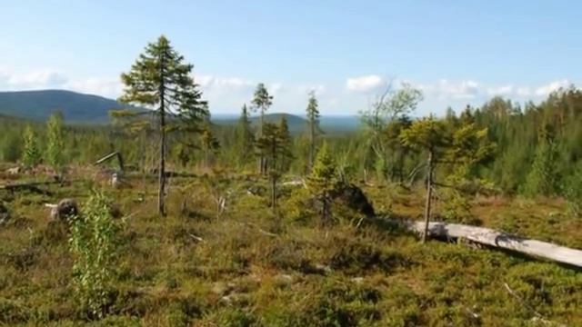 Природа нашего края (Алакуртти). Часть вторая смотреть онлайн