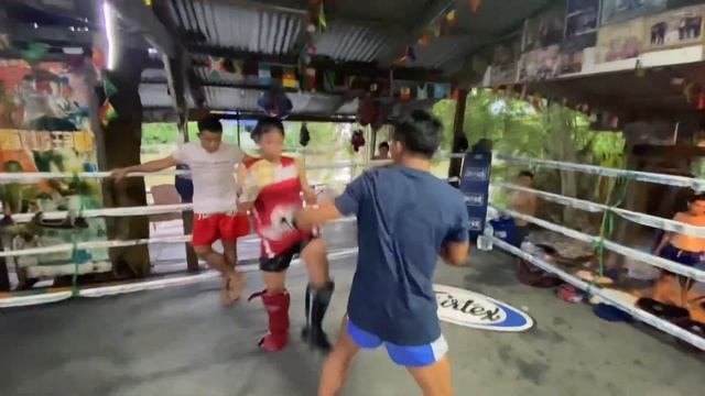 Duangdawnoi sparring with Rodtang jitmuengnon смотреть онлайн