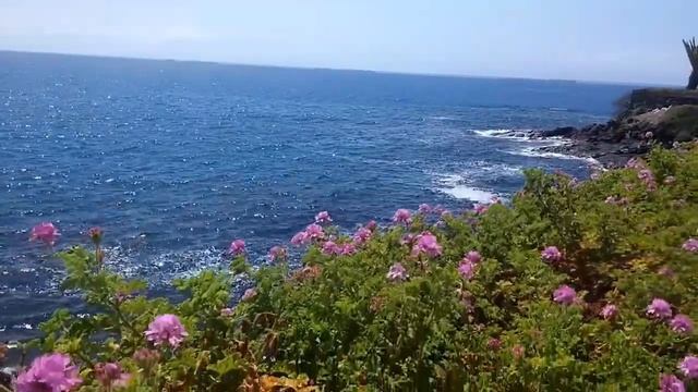 ВЛОГ/Атлантический океан/штраф 200000 евро/пляж смотреть онлайн