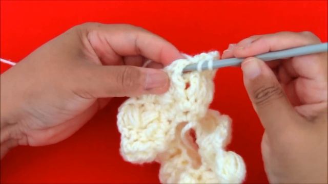 Como Tejer Gorro Boina A Crochet O Ganchillo  En Doble Punto Relieve