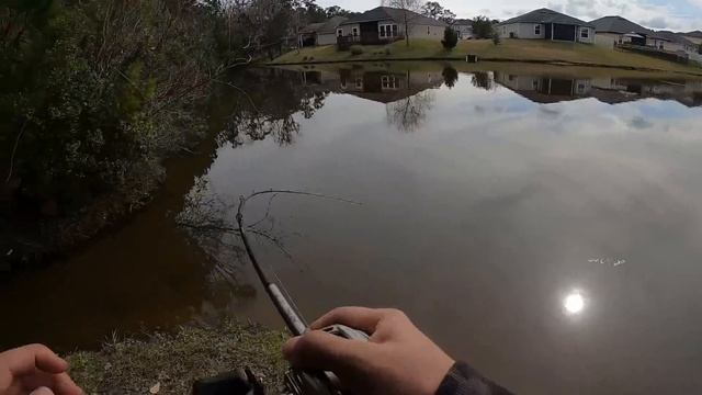 I Caught the BIGGEST Bass of my Life!! (NEW PB) смотреть онлайн