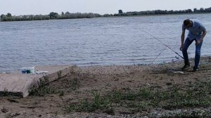 На что стоит ловить Сазана. ЛУЧШАЯ приманка на САЗАНА! Карп на макуху.