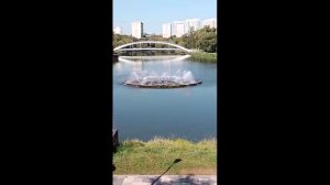 fountain