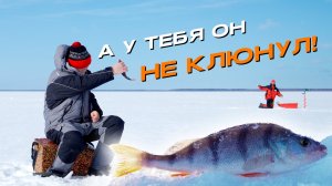 Cел на хвост БЛЕСНИЛЬЩИКУ чтобы доловить МОРМЫШКОЙ его рыбу!