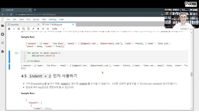 DSpy2-1.2 JSON Coding смотреть онлайн