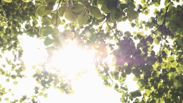 Near-Death Experience: God Saved Me By Showing Me A Life Review | NDE смотреть онлайн