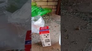 Стригущий лишай у кролика как лечить