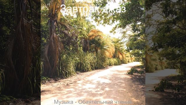 Теплый - Видение Работа из дома смотреть онлайн