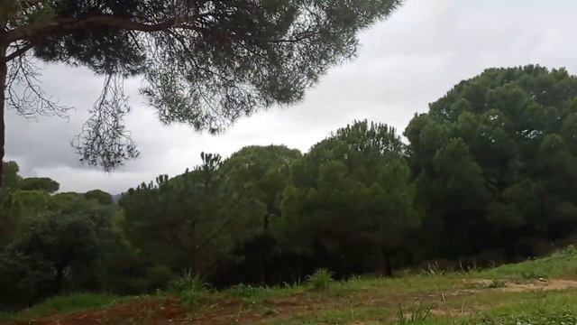 Влог Мой ужин Еда из коробки Жирона Испани2021 смотреть онлайн