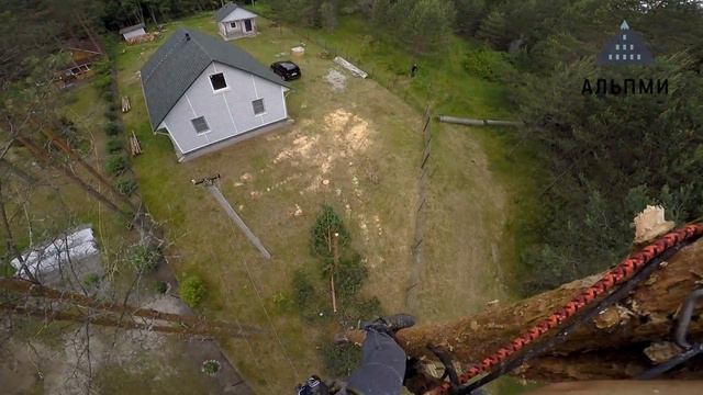 Удаление сосен в Лужском районе смотреть онлайн