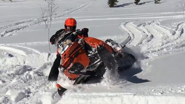 Обучение день 1 смотреть онлайн