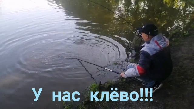 Мисайлово Trout. Летняя форель смотреть онлайн