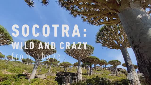 SOCOTRA 2021 смотреть онлайн