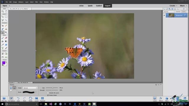 How to Sharpen & Blur a Photo Using Photoshop Elements 15 смотреть онлайн