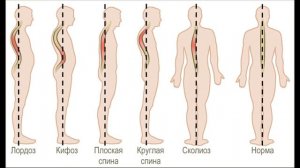 Окружающий мир 3 класс ч.1, тема урока "Опора тела и движения", с.134-137, Школа России.