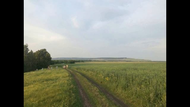 САХАДЖА ЙОГАМ ч1 автор Ю.Шестаков смотреть онлайн