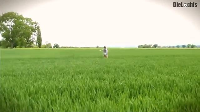 kein signal смотреть онлайн