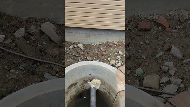Трофей из канализационной системы смотреть онлайн
